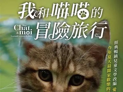 免费观看喵电影的途径与推荐，轻松享受精彩影片！